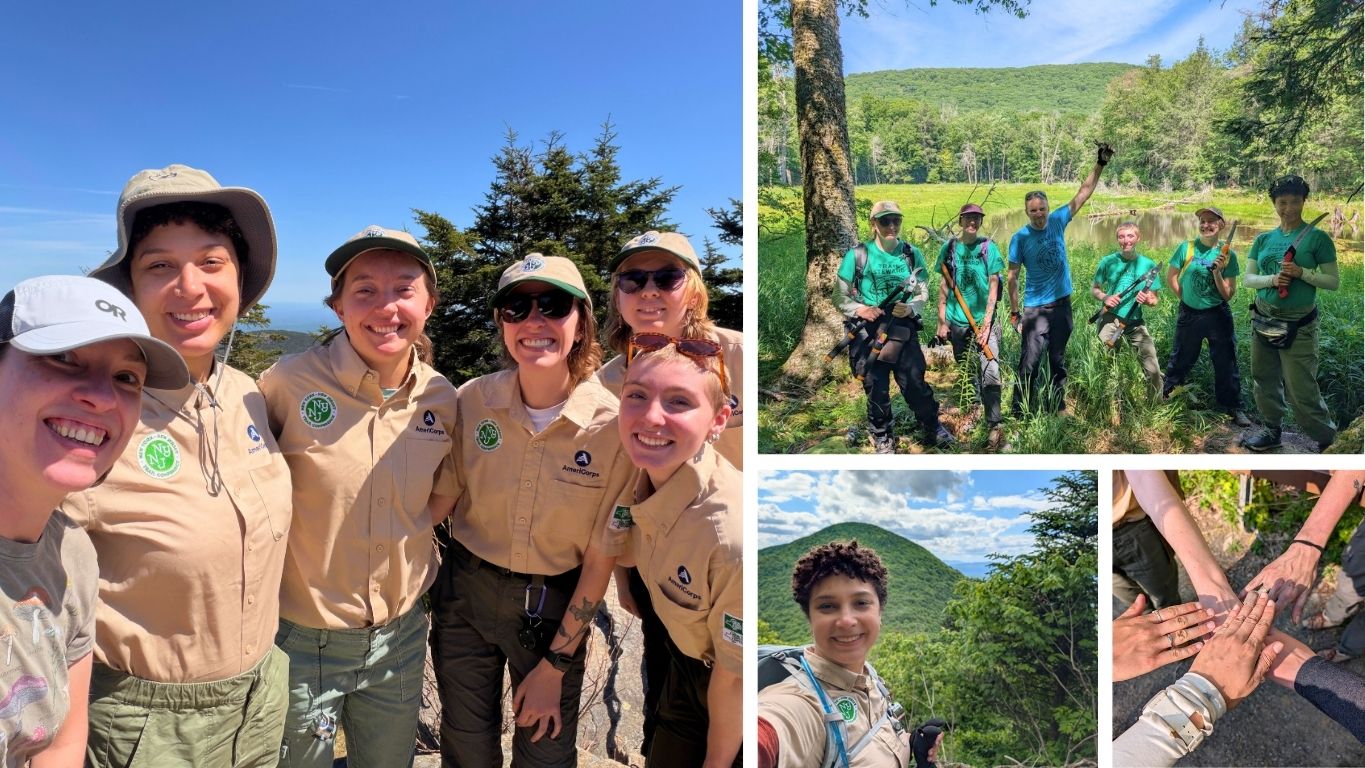 Let’s Hear It for Our Catskill Summit Stewards!
